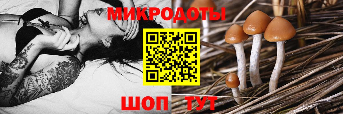 Псилоцибиновые грибы ЛСД Омск
