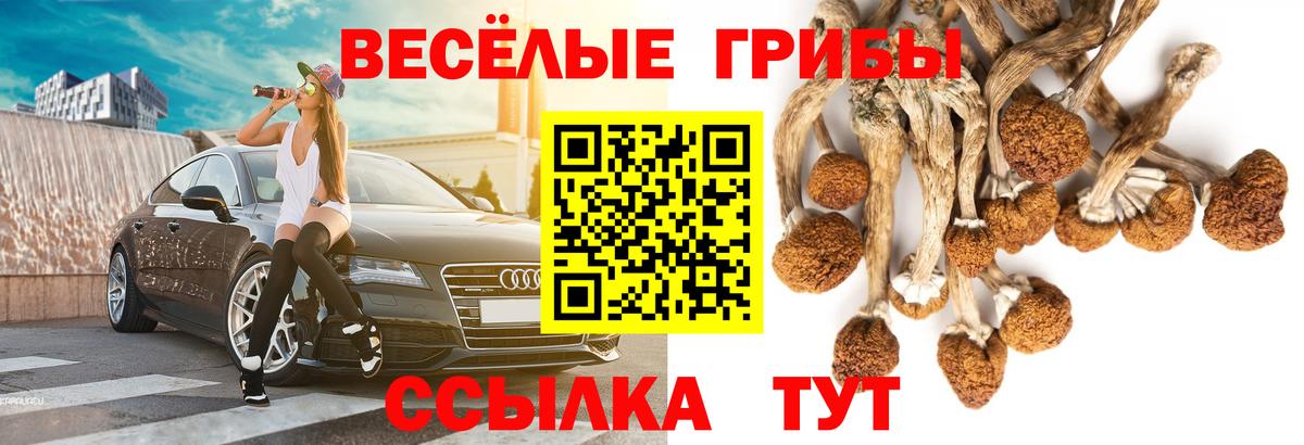 купить   Галлюциногенные грибы Psilocybine cubensis  Омск  Вход с VPN  Псилоцибиновые грибы Psilocybe 